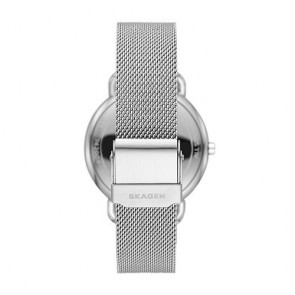 Skagen hot sale karolina silver