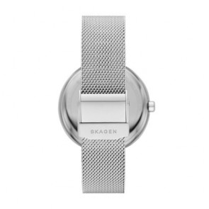 Skagen SKW6538 Price | Skagen Watch Horizont SKW6538