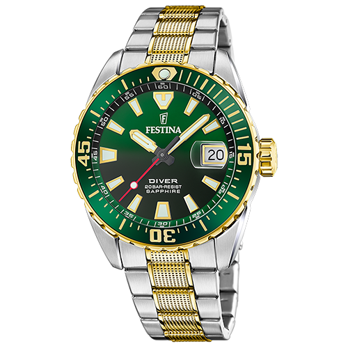 Festina Watch The Originals/Diver F20706/2